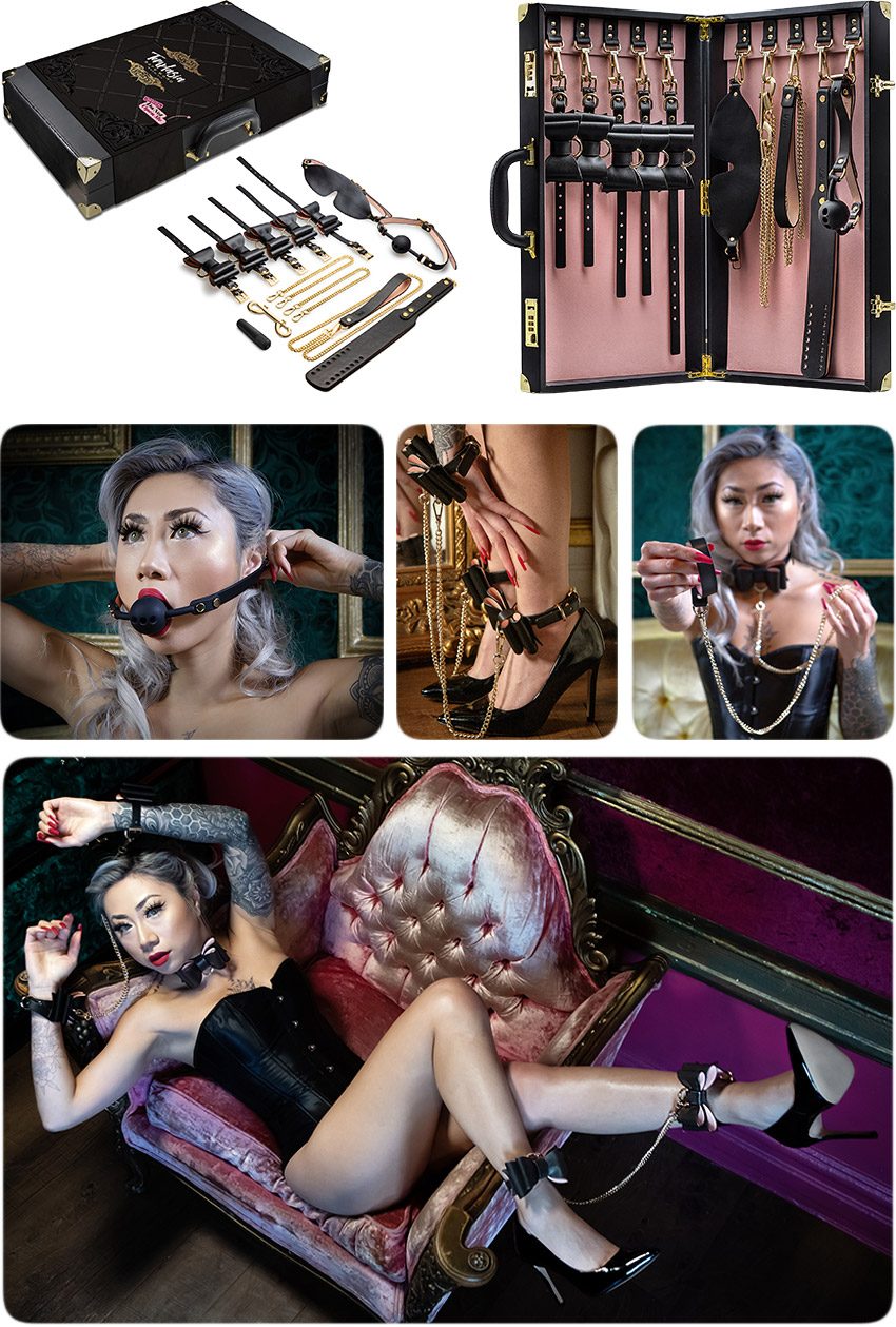 Blush Temptasia Safe Word | Kit BDSM en cuir vegan | 10 pièces