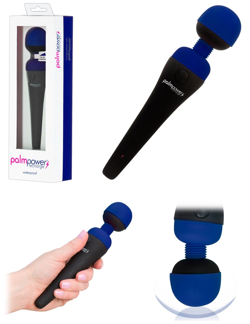 PalmPower Rechargeable Wand Massager | Vibromasseur rechargeable