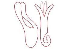 Sextoy pour femme | Large choix de Sex toys | Sex Shop Suisse