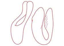 Sextoys pour couple. Acheter les meilleurs jouets en ligne - KissKiss