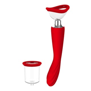 Vibromasseur et pompe vaginale DreamToys Georgia Vibromasseur et pompe vaginale DreamToys Georgia