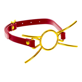 Ecarteur buccal Taboom Bondage in Luxury Spider Gag