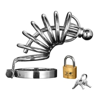 Master Series Asylum 6 Peniskäfig aus Stahl