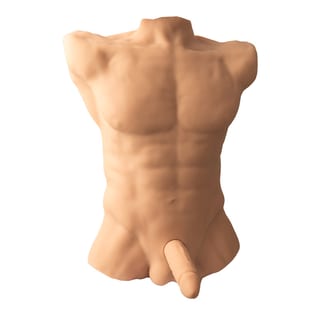 Masturbateur Silex-D Apollo L Male Torso - Beige