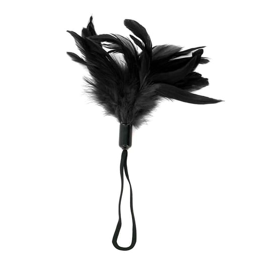 Plumes du plaisir Sportsheets Pleasure Feather - Noir