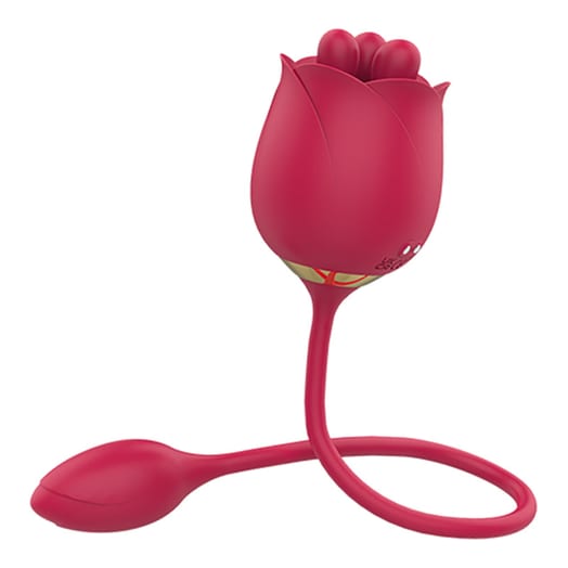 Vibromasseur et stimulateur clitoridien Sensora Bloomora